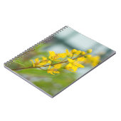 Golden Thryallis Notizblock (Linke Seite)