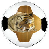 Golden Tiger Fußball (Gedreht)