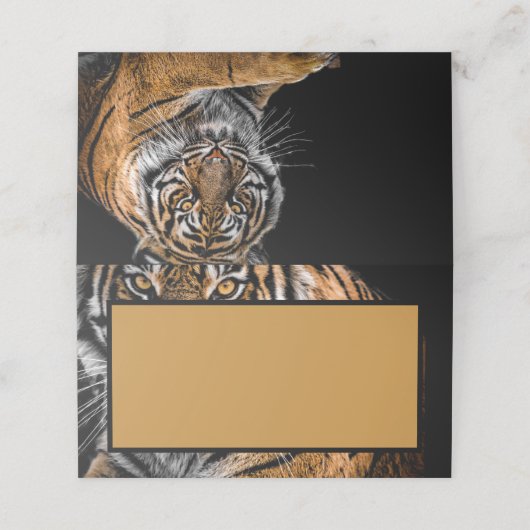 Golden Tiger Platzkarten (Außenseite Aufgefaltet)