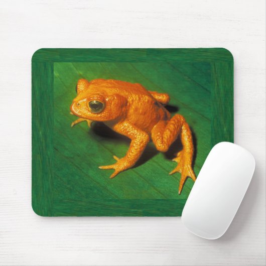 Golden Toad Mousepad (Mit Mouse)