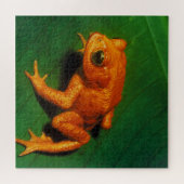 GOLDEN TOAD PUZZLE (Horizontal)