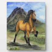 Golden Tolt Fotoplatte (Vorderseite)