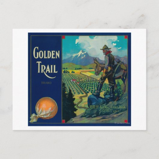 Golden Trail Orange Label #2Success, CA Postkarte (Vorderseite)