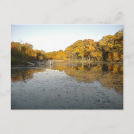 Golden Trees and Pond ... Mein Foto vom Herbst 200 Postkarte