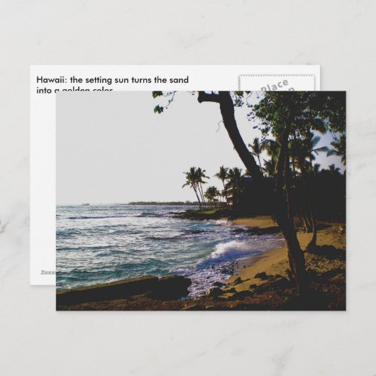 Golden Tropical Sand Postkarte (Vorne/Hinten)