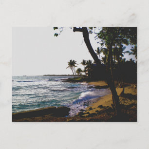 Golden Tropical Sand Postkarte