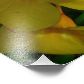 Golden Trumpet Blume II Tropical Fotodruck (Ecke)