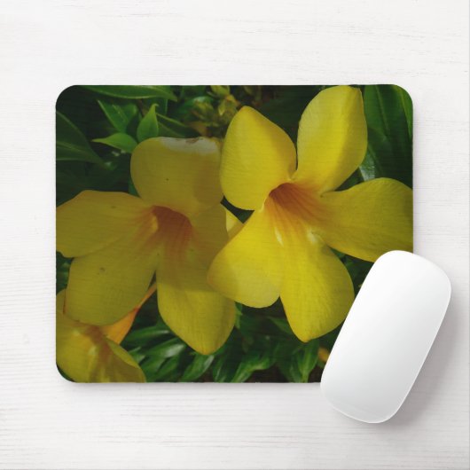 Golden Trumpet Blume II Tropical Mousepad (Mit Mouse)