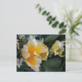 Golden Tulips Postkarte (Stehend Vorderseite)