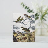 Golden und Ruby Crowned Kinglets Postkarte (Stehend Vorderseite)