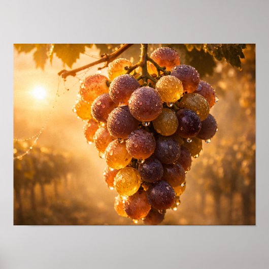 Golden Vineyard Grapes Poster - Autumn Sun (Vorne)