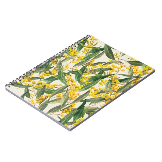 Golden Wattle (Acacia pycnantha) Notizblock (Linke Seite)