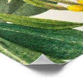 Golden Wattle (Acacia pycnantha) Poster (Ecke)