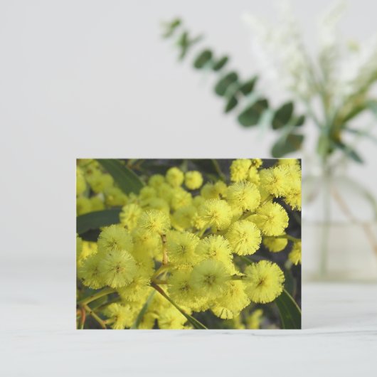 Golden Wattle Postkarte (Stehend Vorderseite)