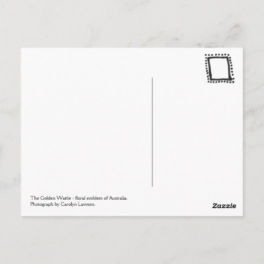 Golden Wattle Postkarte (Rückseite)