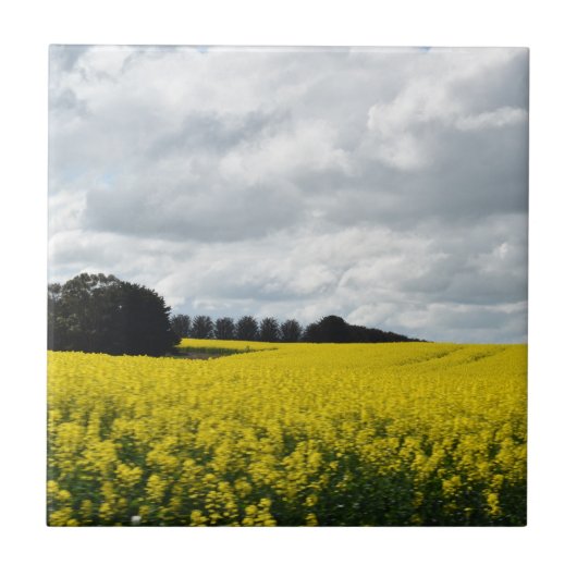 Golden Waves of Streatham Fliese (Vorderseite)