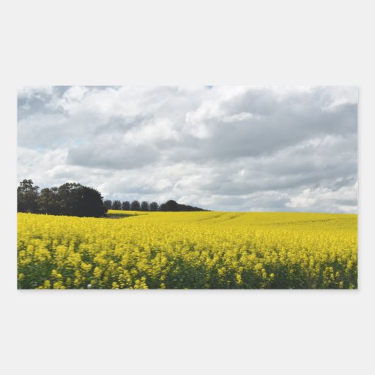 Golden Waves of Streatham Rechteckiger Aufkleber (Vorderseite)