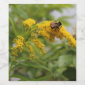 Golden Weinetikett (Einzelnes Label)