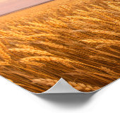 Golden Wheat Field at Pastel Sunset Landscape Poster (Ecke)