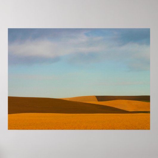 Golden Wheat Fields in Palouse Poster (Vorne)