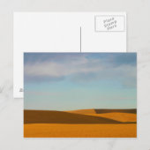 Golden Wheat Fields in Palouse Postkarte (Vorne/Hinten)