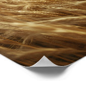 Golden Wheat Fields Poster (Ecke)
