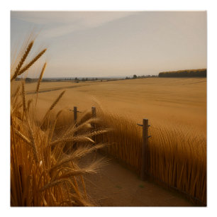 Golden Wheat Path - Rustic Summer Landscape Poster