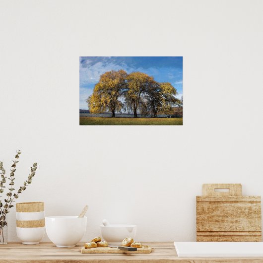 Golden Willows Poster (Küche)
