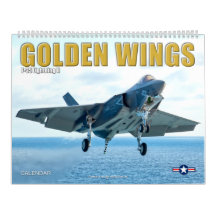GOLDEN WINGS F-35B/C Blitze II