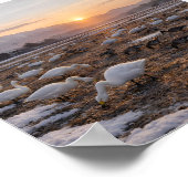 Golden Winter Field with Swans and Geese –  Poster (Ecke)