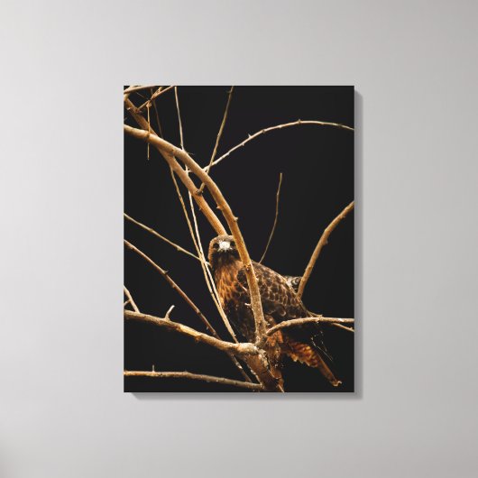 Golden Wrapped Canvas Leinwanddruck (Vorderseite)