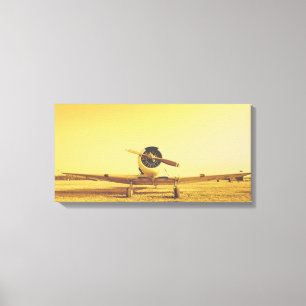 Golden Yellow Antiplane Wingspan Leinwanddruck