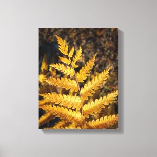 Golden Yellow Fern Herbstlaub Leinwanddruck