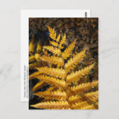 Golden Yellow Fern Herbstlaubs Foto Postkarte (Vorne/Hinten)