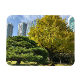Golden Yellow Ginkgo and Pine Tree Magnet