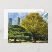 Golden Yellow Ginkgo and Pine Tree Postkarte (Vorne/Hinten)