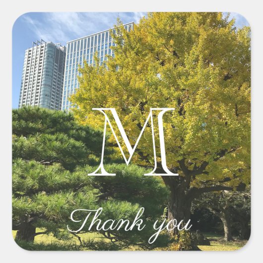 Golden Yellow Ginkgo and Pine Tree Quadratischer Aufkleber (Vorderseite)
