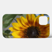 Golden Yellow Sunflower, iPhone 13 Case (Rückseite (Horizontal))