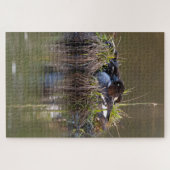 Goldenaugen-Enten Puzzle (Horizontal)