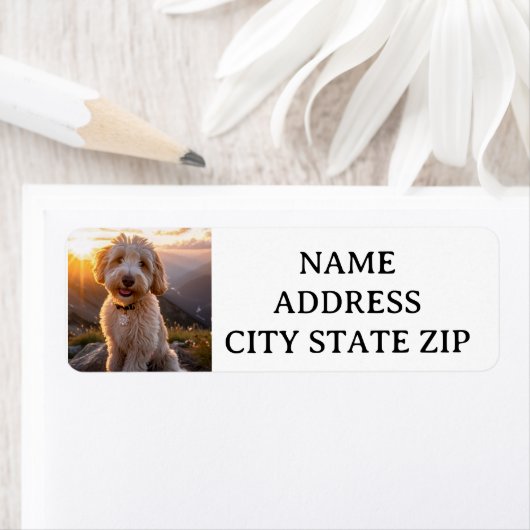 GOLDENDODLE RETURN ETIKETTEN (Insitu)