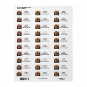 GOLDENDODLE RETURN ETIKETTEN (Vorne)