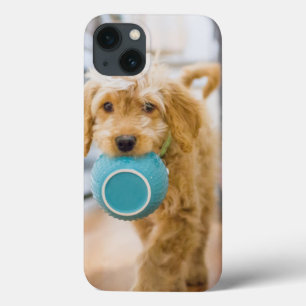 Goldendoodal Carry Dinner Bowl Case-Mate iPhone Hülle