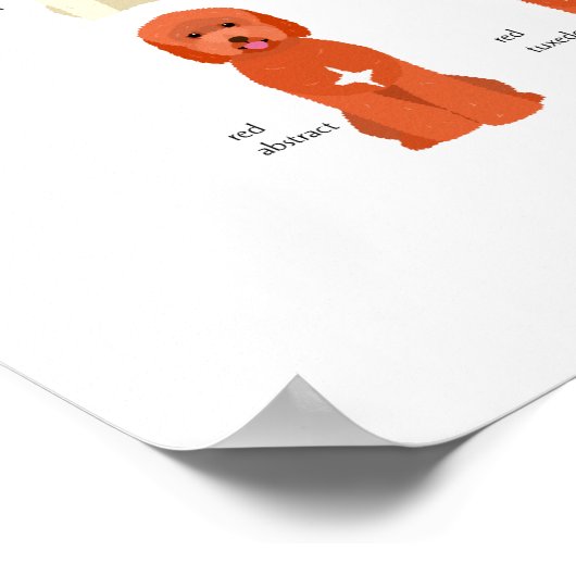 Goldendoodfarben-Poster Poster (Ecke)