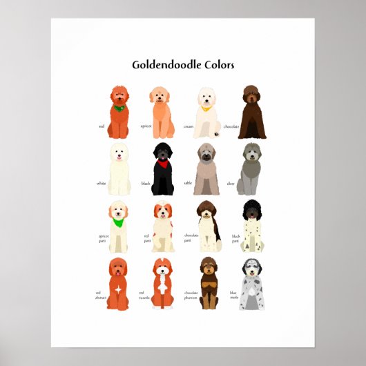 Goldendoodfarben-Poster Poster (Vorne)