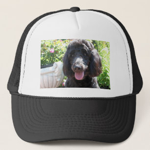 GoldenDoodle Abby 1 Truckerkappe