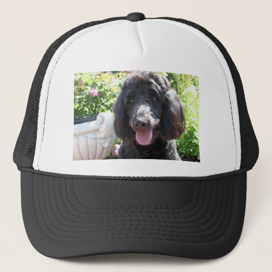 GoldenDoodle Abby 1 Truckerkappe (Vorderseite)