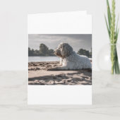 Goldendoodle am Strand Karte (Vorderseite)