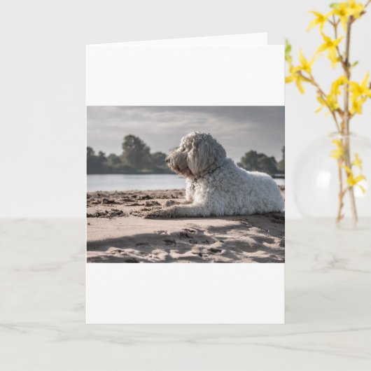 Goldendoodle am Strand Karte (Gelbe Blume)