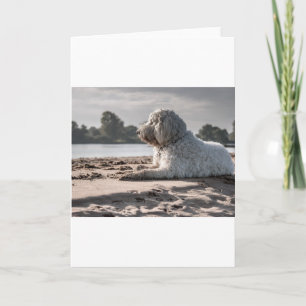 Goldendoodle am Strand Karte