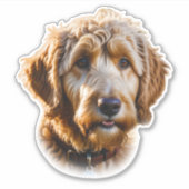 Goldendoodle Aufkleber (Vorderseite)